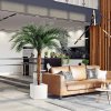 AnyConv.com Phoenix Kunstpalm OD Deluxe 225 cm 173421 7 3