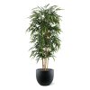 AnyConv.com Bamboe kunstplant 180cm in Grigio F1509 1