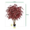 AnyConv.com 153515 Acer Maple deluxe 165 burgundy size 2