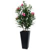AnyConv.com oleander 150cm rose in quadro alto 34x70cm 1 4