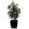 AnyConv.com oleander 150cm bloeiende kunstbomen rose in quadro 43cm zwart 1 4