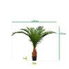 AnyConv.com canarie phoenix kunstpalm deluxe 210 cm 173321 8 4