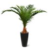 AnyConv.com canarie phoenix kunstpalm deluxe 210 cm 173321 2 4