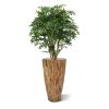AnyConv.com ruscus deluxe n 110 cm 184511 2 1 3