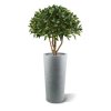 AnyConv.com laurier bal op stam 70 cm kunstplant 125107 2 1