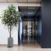 AnyConv.com ficus exotica kunstboom 330 cm 112330 8 1 4