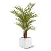 AnyConv.com areca kunstpalm deluxe 150 cm 170115 5 3