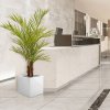 AnyConv.com areca kunstpalm deluxe 150 cm 170115 9 2