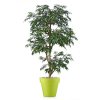 48776 myrsifolia multistep 180 cm green 1068002 2