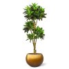 AnyConv.com 150217 Croton pot 1 2