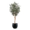 AnyConv.com Grote Olijf Kunstboom 250cm F1109B 1