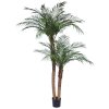 AnyConv.com 173022 Phoenix palm 220