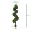 AnyConv.com buxus deluxe spiraal 170 cm uv 138317uv 7 3