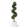 AnyConv.com buxus deluxe spiraal 170 cm uv 138317uv 5