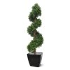 AnyConv.com buxus deluxe spiraal 170 cm uv 138317uv 4 3