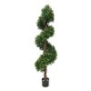 AnyConv.com Buxus Deluxe Spiraal 170 cm UV 3