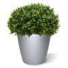 AnyConv.com buxus bol half 60 cm uv 138906uv 3 2