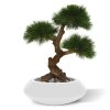 AnyConv.com pinus kunstbonsai 3 bollen 60 cm uv 151806uv 3 1 2