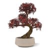 AnyConv.com ming aralia bonsai uv burgundy kunstboom op voet 90cm combination image 1