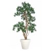 11907 podocarpus stylish 170 cm green classic 1060014