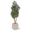 AnyConv.com 140015UV Podocarpus Kunstboom 155cm 6RDPBE214 1