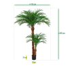 AnyConv.com areca kunstpalm deluxe 225 cm 170222 7 5