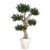 Pine Taxus Pom Pom 190 cm Green V8105004