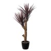 Yucca Linearis Plant 120 cm Brugundy 4231B02