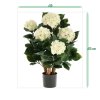 AnyConv.com hortensia uv kunstplant deluxe 65cm creme sizing template
