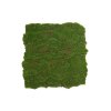 Moss base Va