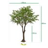 AnyConv.com Acer 300cm groen 142035GR 6 c2hcvp 1(1)