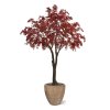 AnyConv.com Acer kunstboom XL burgundy 300cm 142035RD 4 1