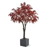 AnyConv.com Acer kunstboom XL burgundy 300cm 142035RD 3 1