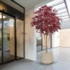 AnyConv.com japanse acer kunstboom deluxe 325cm burgundy lifestyle image 2