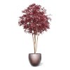 AnyConv.com japanse acer kunstboom deluxe 325cm burgundy combination image 2