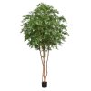 AnyConv.com 159032 Japanse Acer deluxe 325 groen