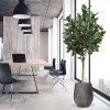 AnyConv.com ficus audrey kunstboom deluxe 250cm lifestyle image 2