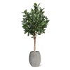AnyConv.com ficus audrey kunstboom deluxe 250cm combination image 6