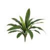 AnyConv.com 443804 asplenium antiquum kunstvaren 40 1