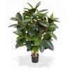 26889 1 umely strom ficus elastica robusta 90cm