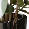 26889 3 umely strom ficus elastica robusta 90cm