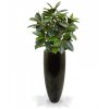 26889 umely strom ficus elastica robusta 90cm