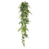 AnyConv.com 208817 pictus hangplant 170 4