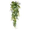 AnyConv.com 208809 pictus hangplant 90 maat 4
