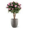 AnyConv.com rhododendron kunstplant deluxe 115cm paars combination image 4
