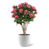 AnyConv.com rhododendron kunstplant deluxe 115cm cerise combination image 2