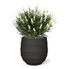 AnyConv.com kunstplant lavendel bol uv wit 60cm in pot combination image 2