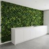 Panel Wall Fern Light  (100x100cm)