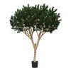 AnyConv.com 151926 Pinus Umbrella XL deluxe 260