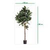 ficus elastica robusta kunstboom deluxe 200cm sizing template